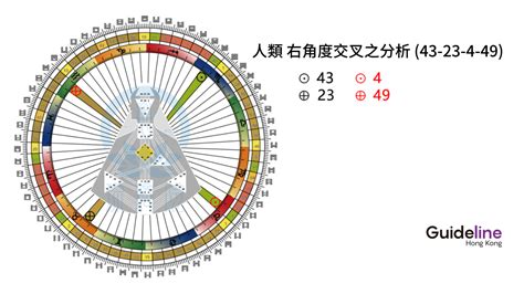 右角度交叉之四方之路|人類圖：右角度交叉之解釋（43